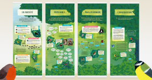 Deuxième partie des panneaux de l'exposition sur les oiseaux : en société, populaires, mais en danger, l'observation