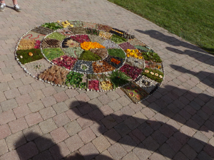 Valise land art 4